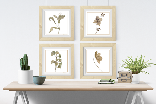 4 Watercolor Wall Art Printables 10X10 Inch